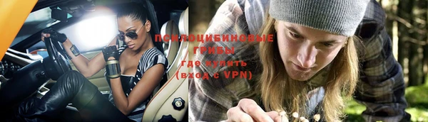 бошки Зеленодольск