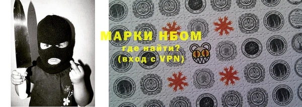 хмурый Инта